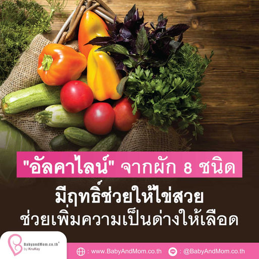 "อัลคาไลน์" จากผัก 8 ชนิด มีฤทธิ์ช่วยให้ไข่สวย ช่วยเพิ่มความเป็นด่างให้เลือด