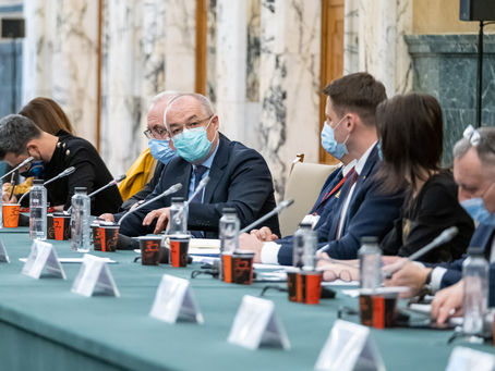 PARTICIPARE COMITET INTERMINISTERIAL