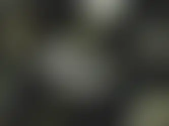 "The world's leading climate scientists have warned there are only a dozen years for global warming to be kept to a maximum of 1.5C" (Watts, 2018).