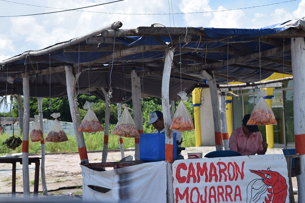 Salto de Eyipantla, Municipio de San Andrés Tuxtla, Veracruz Ignacio de la Llave.