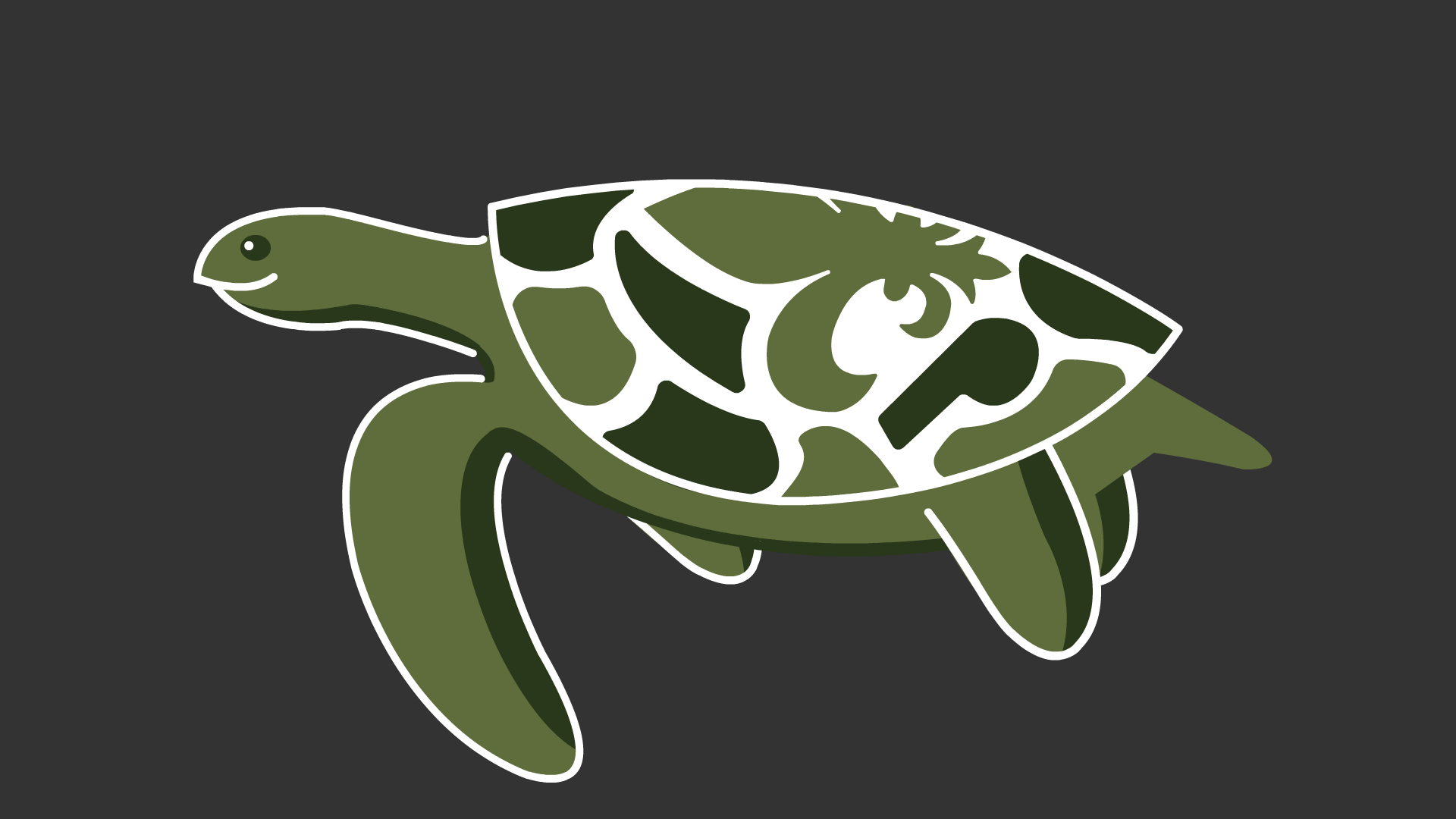 animated turtle