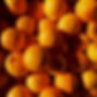 IMG_3770.jpeg