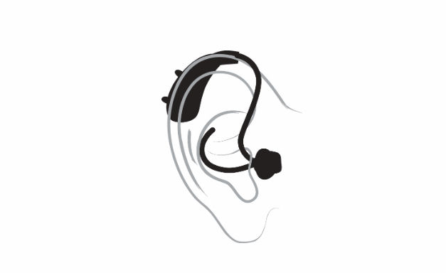behind the ear.jpg