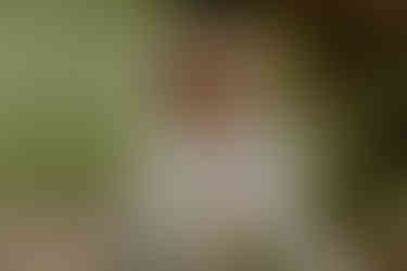 South Carolina Weeding Photographer | Greenville SC Wedding Photographer