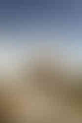 South Carolina Wedding Photographer and Videographer | Glassy Mountain Chapel Wedding Photographer