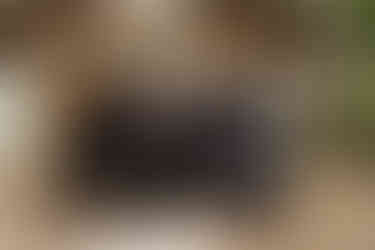 South Carolina Wedding Photographer | Columbia SC Wedding Photographer | Southern Oaks Wedding Venue | Wedding Venues near Columbia SC