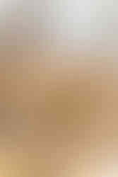 Venue at Edgewood Wedding Photos | Venue at Edgewood Photographer | South Carolina Wedding Photographer