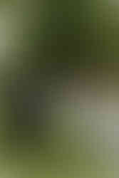 South Carolina Wedding Photographer | Columbia SC Wedding Photographer | Southern Oaks Wedding Venue | Wedding Venues near Columbia SC