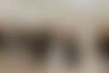 Indiana Winter Wedding | Indiana Wedding Photographer | Indiana Destination Photographer