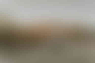 South Carolina Wedding Photographer | Folly Beach Engagement Photographer | Charleston SC Wedding Photographer