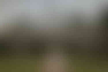 Bridal Portrait Photographer Columbia SC