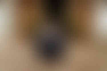 South Carolina Wedding Photographer | Columbia SC Wedding Photographer | Southern Oaks Wedding Venue | Wedding Venues near Columbia SC