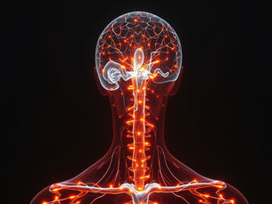Illustration showing trauma and the nervous system with memory stored in the body