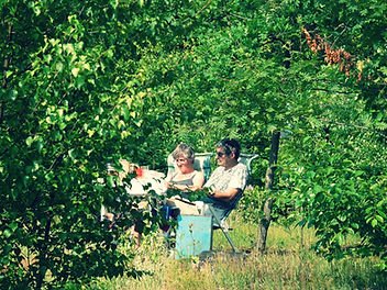 Camping De Meene Camping Twente