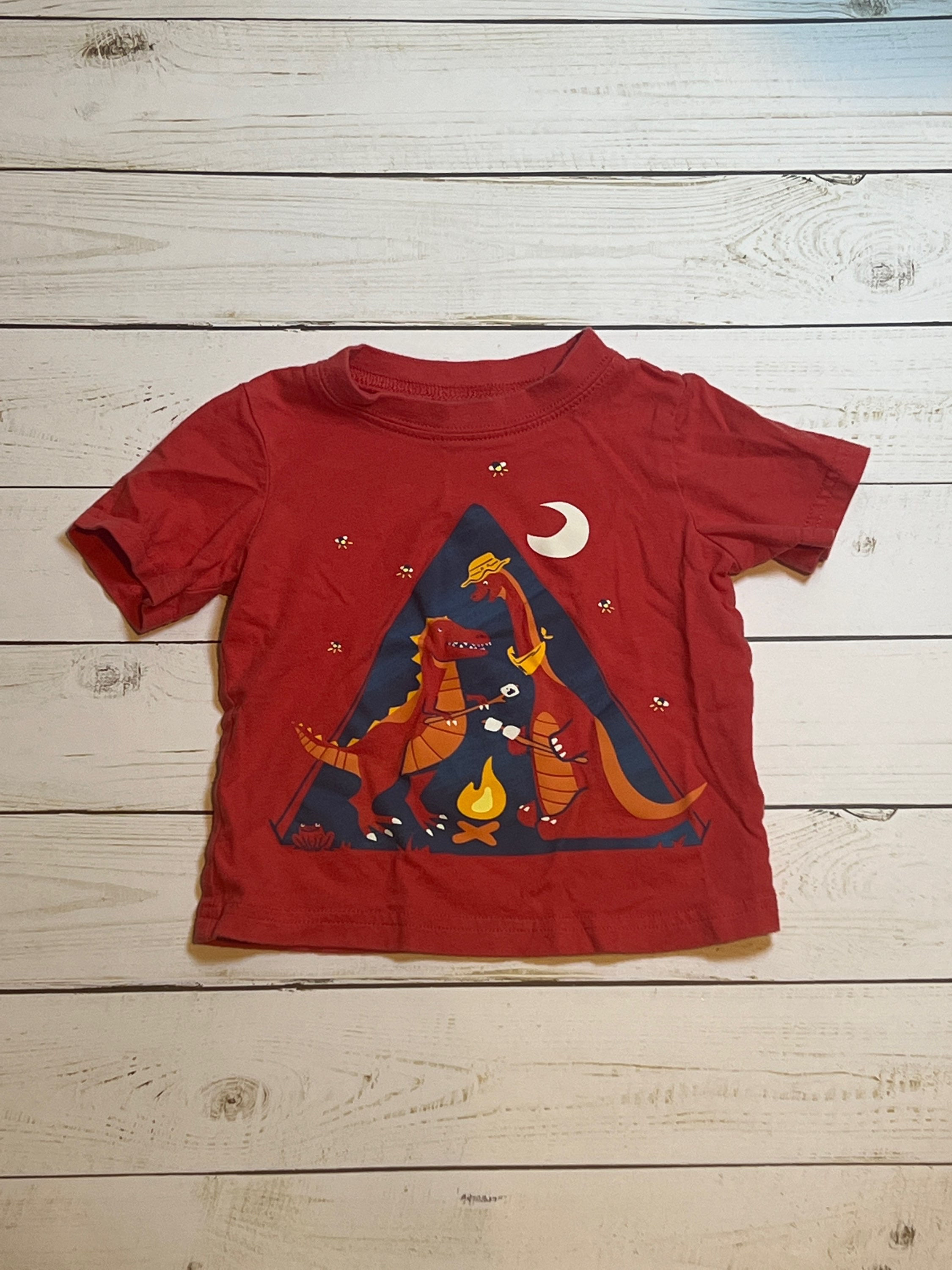 Camp fire Dino shirt 12M