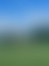 1st Year Girls' Soccer vs Presentation Wexford