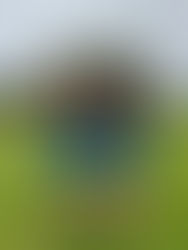 Avondale Cross Country Relays 