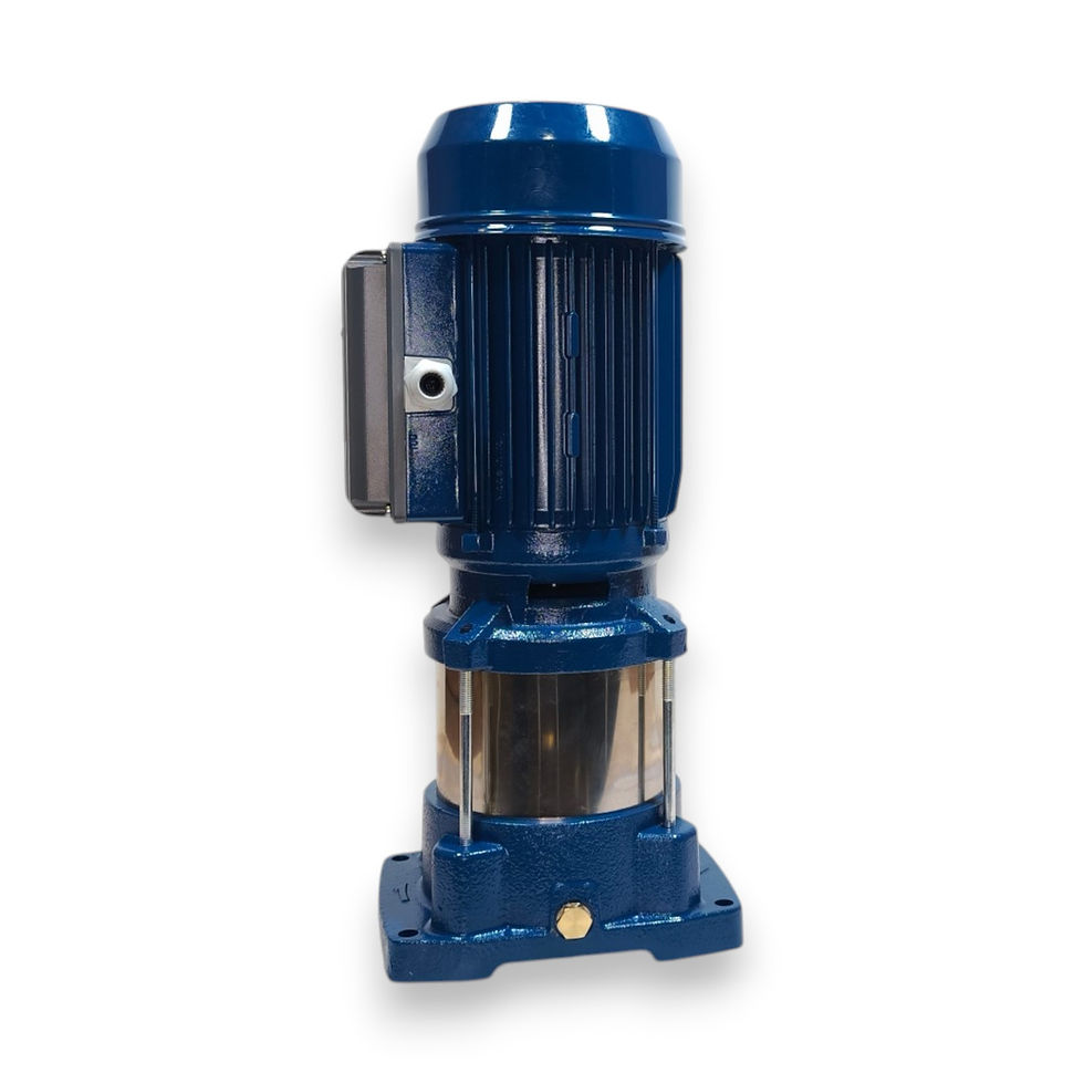 Thumbnail: P5V/L-150/5T - Stainless steel Vertical Pump for irrigation (55.6 m 120 l/min)