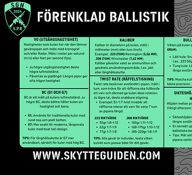 Förenklad Ballistik SGN.png