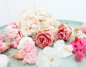 IMG_0165 copy.jpg