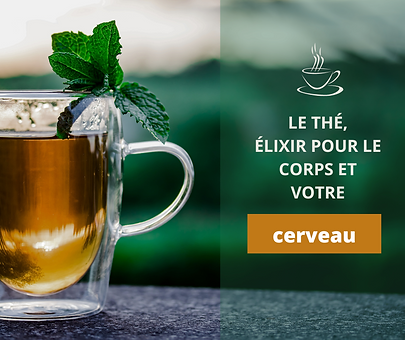 Découvrir les différentes saveurs d'un thé chaud ou froid offre un moment de détente tout en apportant des bienfaits pour le cerveau.