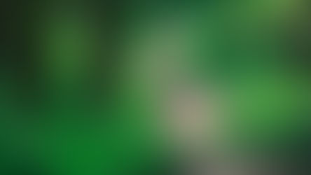 Voici une suggestion de **texte alternati"A peaceful forest path winding through lush green trees, accompanied by the quote: 'There's no Wi-Fi in the forest, but the connection is amazing.' Symbolizing the power of nature to soothe, reconnect, and bring presence."