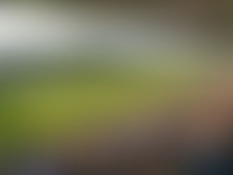 Die weiteren Heimspiele: Freier Ticketverkauf für Saarbrücken und Viktoria Köln am Freitag