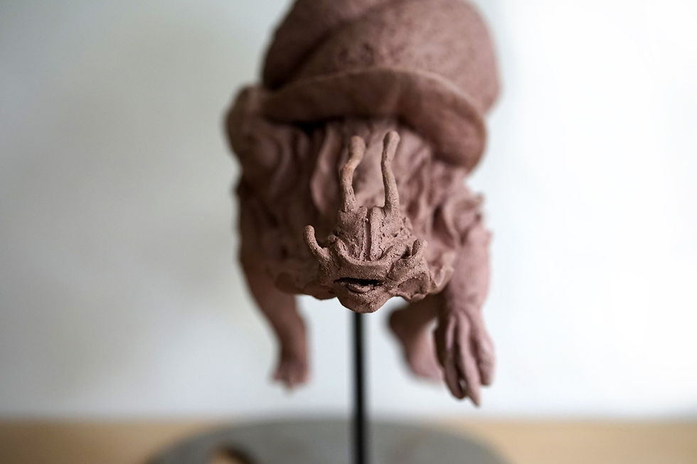 Miniature : Crossfit