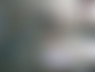 L'orientation des jeunes