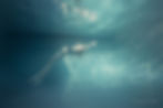 Mil'eau blue water-31.jpg