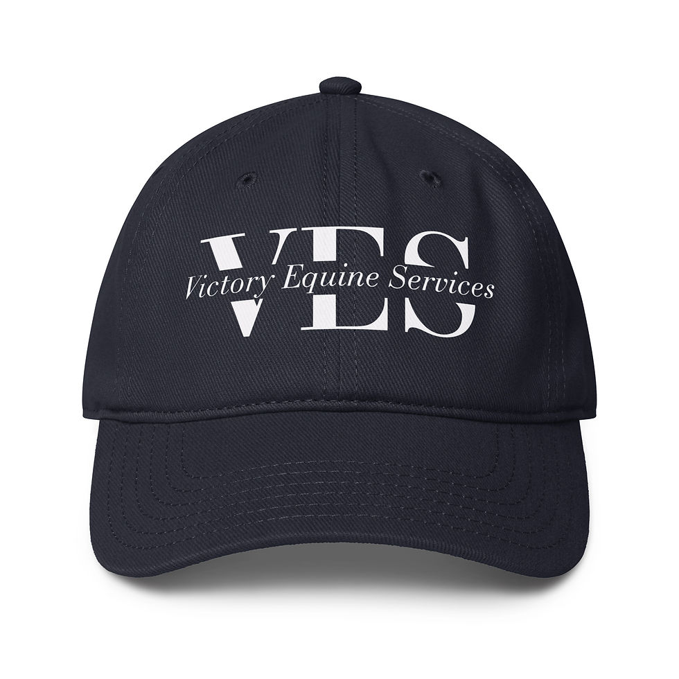 Thumbnail: VES - Baseball Cap