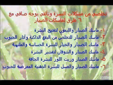 Thumbnail: جيل الصبار