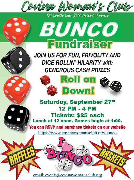 Bungo Flyer 2025.png