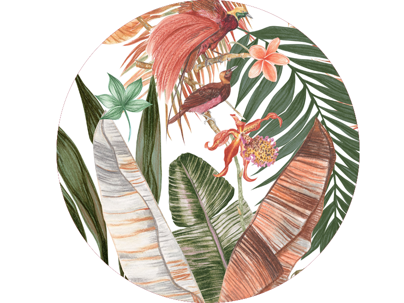 Thumbnail: Classic Button Down Tropics