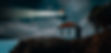 A lighthouse symbolizes clarity and direction - just like our FinOps roadmapping and managed services illuminate your path to smarter decisions. Let’s help you right-size spend with purpose and precision
