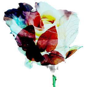 AEnB2Uo3dX0i8Tf2V1U4A-qkCEYwCMEtzXgZoEyN