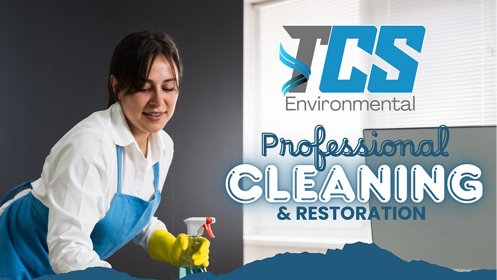 Original TCS ENVIROMENTAL Cleaning Flyer Ad (1).png
