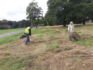 Haymaking time!