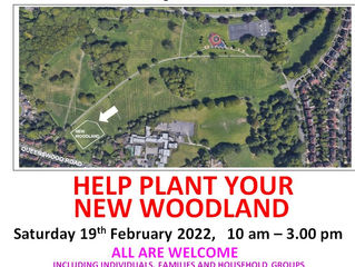 HELP PLANT YOUR NEW WOODLAND