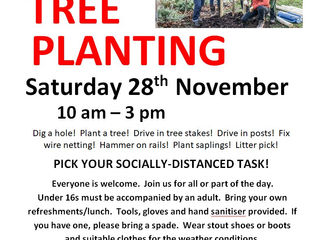 Still spaces for tree planting next Saturday