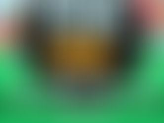 DON'T FORGET THE CONCERT AND PICNIC!