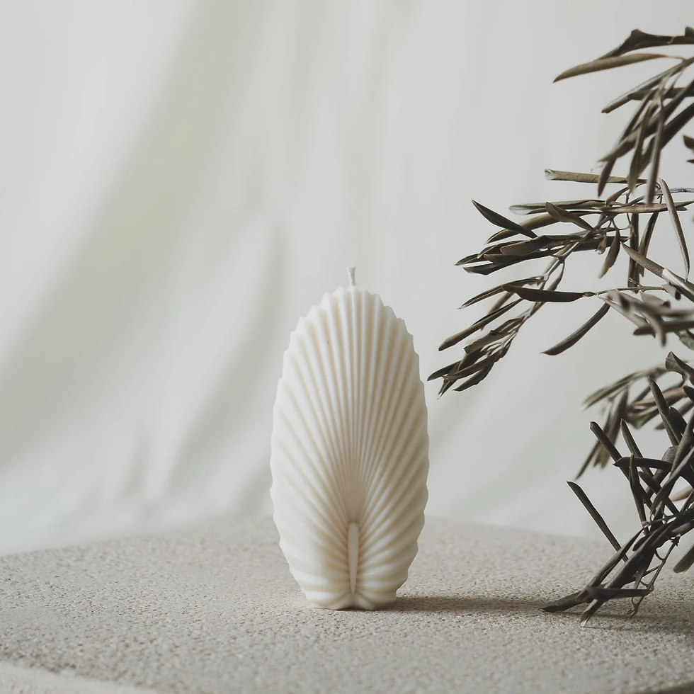 Thumbnail: Scallop Seashell