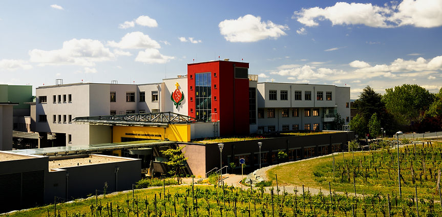 Krankenhaus der Barmherzigen Brüder Eisenstadt