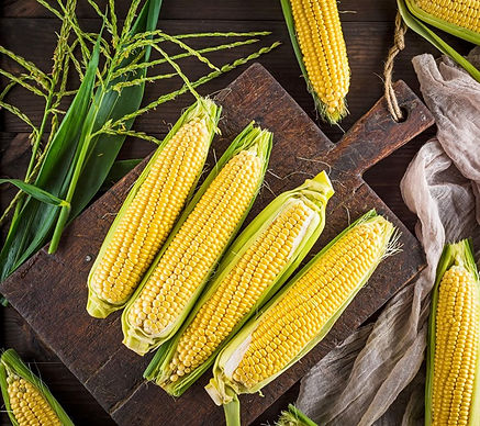 corn-cobs.jpeg