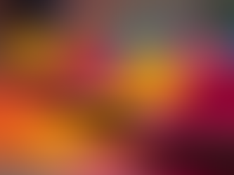 Exploring the Vibrant World of Holi Colors