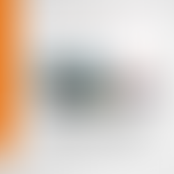 Río Indio para el futuro