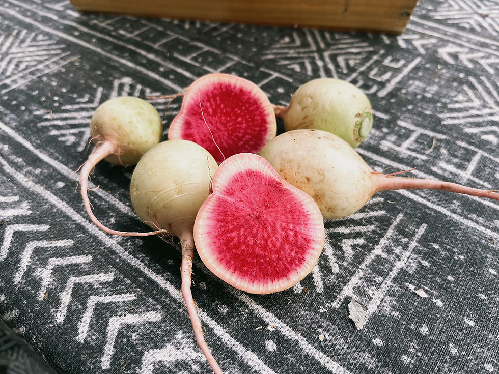 Thumbnail: CSA Half-Size