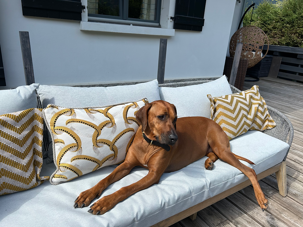 Thumbnail: Outdoor cushion Paloma