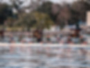 JU Rowing