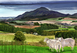 View of West Lomond